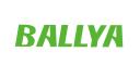 ballyabio logo